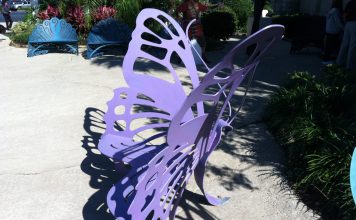 A Complementary and Species-Compelling Need