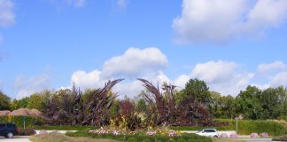 The State of the #MeToo Movement in the Era of Trump and Epstein Files with Tarana Burke