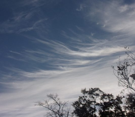 Benefit Birthday Celebration in Youngstown