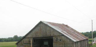 Honoring the Life and Legacy of Bob Law