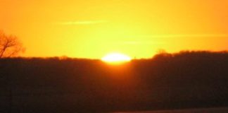 Open Letters From Dr. Nathanael-Israel Israel Highlighting Research Framework Connecting Science, Mathematics, and Biblical Creation