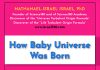 How Baby Universe Was Born – Midwest Book Review